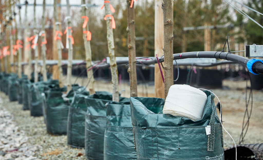 environmental-wyevale-nurseries